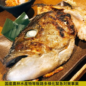 楽天市場 ぶり 養殖鹿児島県産の通販