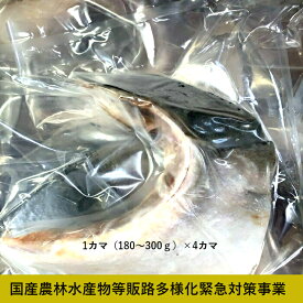 楽天市場 ブリ 産地 都道府県 鹿児島 魚介類 水産加工品 食品 の通販