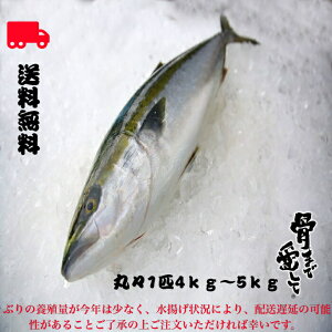 ぶり 5kg 魚の人気商品 通販 価格比較 価格 Com