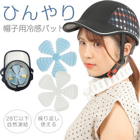 ヘッドクール 頭 ひんやり 帽子 パッド 熱中症対策 グッズ アイスパッド ヘッドクールパッド ヘッドクーラー アイスシート 冷却 クール こども 小学生 キッズ 子供 繰り返し使える 冷却シート 暑さ対策 頭冷やす 帽子の中