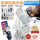 【P2倍】【10%OFFクーポン配布中】スキー グローブ レディース メンズ スノーグローブ スキー スノーボード スノボ グ…