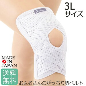 y\z҂̂Gxg 3LTCY At@bNX 3LTCY AP-202646 ҂V[Y { G xg MtgGT|[^[ ȒP G Ђ yX Ki jp E