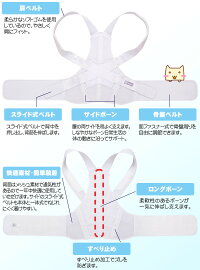 お医者さんのがっちり背すじベルトの特長