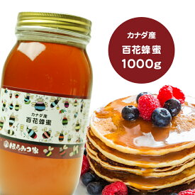 【20％OFF】カナダ産純粋百花はちみつ 1000g 送料無料 百花はちみつ カナダ産 蜂蜜 外国産 ハニー はちみつ 非加熱【まとめ買いSALE対象】 〔Honey House〕【item】