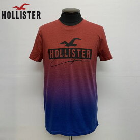 HOLLISTERPRINT T-SHIRTSホリスタータイダイプリントロゴプリント半袖Tシャツ323-243-2941-628サーフ、カリフォルニア正規店購入品