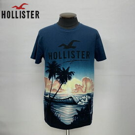 HOLLISTERTOTAL PATTERN PRINT PHOTO T-SHIRTSホリスター総柄プリントフォトプリント半袖Tシャツ323-243-2941-208サーフ、カリフォルニア正規店購入品