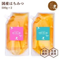 養蜂家から直送！国産 はちみつ【詰め替え用 500g2個セット 】蜂蜜 ハチミツ 非加熱 純粋 岐阜県産 生は…