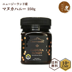 }kJnj[ UMF10+ 250g(MGO263+) j[W[hY ~bhh