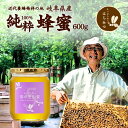 養蜂家から直送！国産 はちみつ 新蜜【春の里山蜜 600g】2026年6/14発売 蜂蜜 ハチミツ 非加熱 純粋 生はちみつ レンゲ れんげ フジ エゴノキ 生産直売 岐阜県産 日本製 岐阜県産 お中元 暑中見舞い 敬老の日 お歳暮 ギフト 備蓄 保存食 春日養蜂場 HONEY ハニー 百花蜜