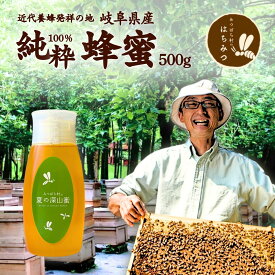 養蜂家から直送！国産 はちみつ 夏の深山蜜 500g 倒立容器 蜂蜜 ハチミツ 非加熱 純粋 完熟 生はちみつ 生産直売 岐阜県産 ミカン科 カラスザンショウ フルーティな味わい 備蓄 非常食 保存食にも◎