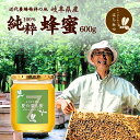 養蜂家から直送！国産 蜂蜜 夏の深山蜜 600g はちみつ ハチミツ 非加熱 純粋 完熟 生産直売 岐阜県産 ミカン科 カラスザンショウ フルーティな味わい 備蓄 非常食 保存食にも◎