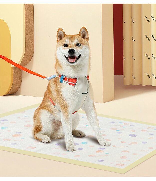 HONEYCARE ハニーケア ペットシーツ 薄型 犬 レギュラー 33*45cm 200枚*4袋 800枚入り