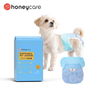 _300~OFFI^CZ[JÒ^ySS LLΉzp ނ 20 pc^Cv }i[ނ j̎q̎q  ނ Ic ybg ނ Ic ybgp }i[ނ   