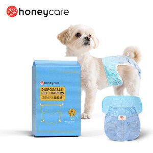 _300~OFFI^CZ[JÒ^ySS LLΉzp ނ 20 pc^Cv }i[ނ j̎q̎q  ނ Ic ybg ނ Ic ybgp }i[ނ   