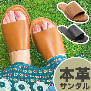 yɒlI󂠂Z[z{v Vvȃ[q[ T_ U[ v tbg ₷ ؂ Xbp  傫TCY fB[X I[V[Y t  H ~ 