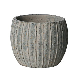 yGG-503-BBz[jE{[|bgiLTCYjO[lVvȃfUC̃IVȐAؔ