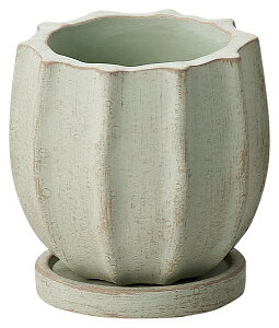 yTL269zh[vOiSTCYjO[AeB[ÑIVȐAؔ