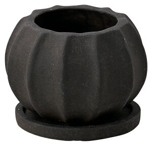 yTL291zh[v{EiSTCYjubNAeB[ÑIVȐAؔ