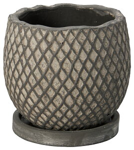 yTD499zT[N|bgiMTCYjubNAeB[ÑIVȐAؔ