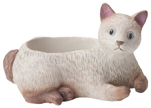 y5E4151zVVA|bgĂ킢Aؔ