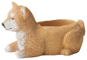 y5E4146zVo|bgĂ킢Aؔ