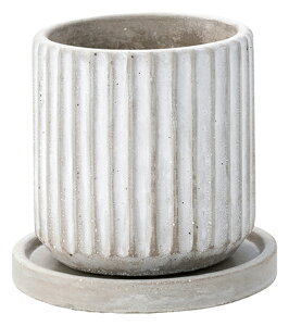 yTD675zo[`J|bgiSTCYjO[AeB[ÑIVȐAؔ