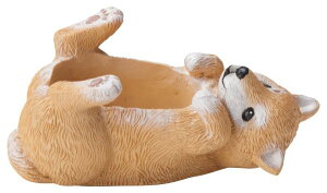 y5E4145zNVFVo|bgĂ킢Aؔ