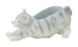 y5E4360zGeBV|bgĂ킢Aؔ