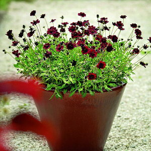 yX_ꐶYz`R[gRXX `JJ 9Z`|bgc@PW