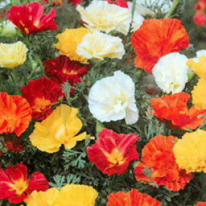 yX_ꐶYzGXR`A X[~bNX9Z`|bgc ϊ ڂɐB