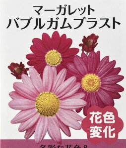 yX_ꐶYz}[Kbg ouKuXg PW 9Z`|bgc ϊN