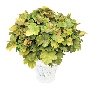 yX_ꐶYzq[P h`F o^[N[ PW 9Z`|bgc