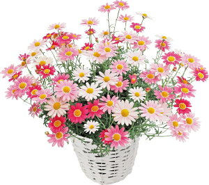 yX_ꐶYz}[Kbg Xgx[zCbv PW 9Z`|bgc ϊN