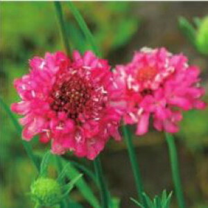 yX_ꐶYzXJrIT NCY T[sN 9Z`|bgc ϊ ؉Ԏ