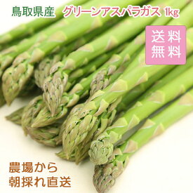 当店農場生産！鳥取県産グリーンアスパラガス たっぷり1kg！1週間程度で発送！甘い！クール便送料無料！※東北・北海道・沖縄発送不可