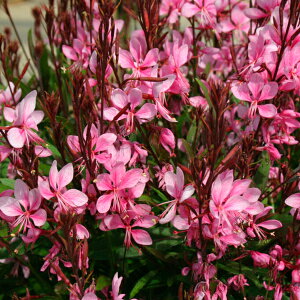 yX_ꐶYzKE |bvsN PW 9Z`|bgc ϊN