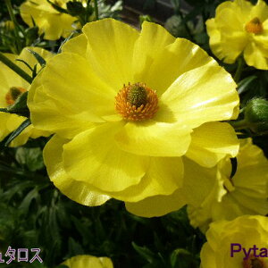 yX_ꐶYziLX bNX s^XII 9Z`|bgc