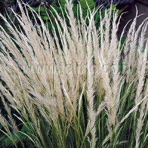 yX_ꐶYzXeBp C`[ 9Z`|bgc ϊN