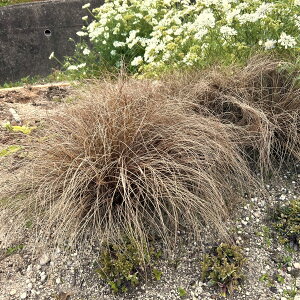 yX_ꐶYzJbNX uYJ[ 9Z`|bgc ϊN