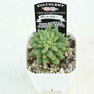 yX_ꐶYzA Z_ sNx[ 7.5Z`|bgc J6018