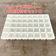日本ポリ鉢販売 システムトレー＋プレステラ75 40鉢付きセット！※花苗同梱不可