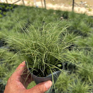 yX_ꐶYzJbNX A}]~Xg 9Z`|bgc ϊN