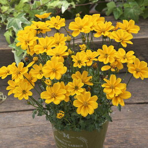 yX_ꐶYzrfX WW S[h 9Z`|bgc ϊN