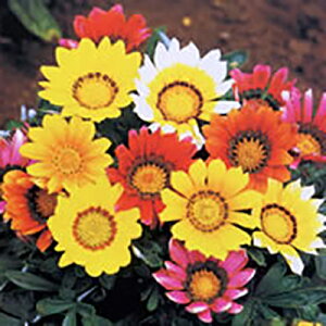 yX_ꐶYzKUjA 9Z`|bgc ɋh