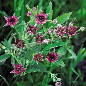 yX_ꐶYz|eeB pXgX 9Z`|bgc ϊh