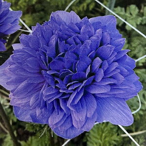 yg_ꐶYzAll oe u[ 9Z`O|bgc