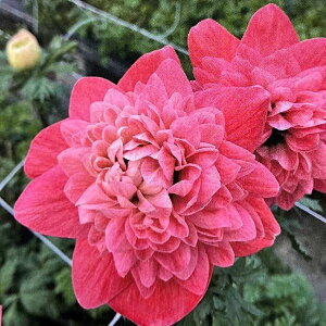 yg_ꐶYzAll oe [U 9Z`O|bgc