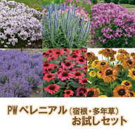 【送料無料】PWペレニアル（宿根・多年草）6鉢お試しセット☆PW11cmポット☆数量限定※同梱不可
