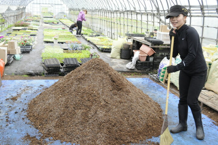 楽天市場 当店農場生産 多肉植物 セダムの土 5リットル入1袋 多肉植物が元気に育つ 培養土 ハニーミント