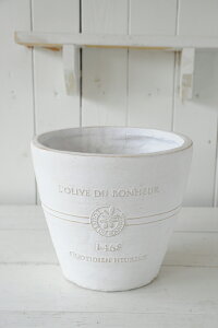 yGF2237z{k[I[uT[NiSTCYjzCgIVȃOXt@Co[̐AؔyĎ^т֗I